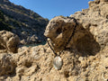 Midnight Shore Necklace